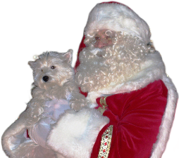 kerstman-met-hond